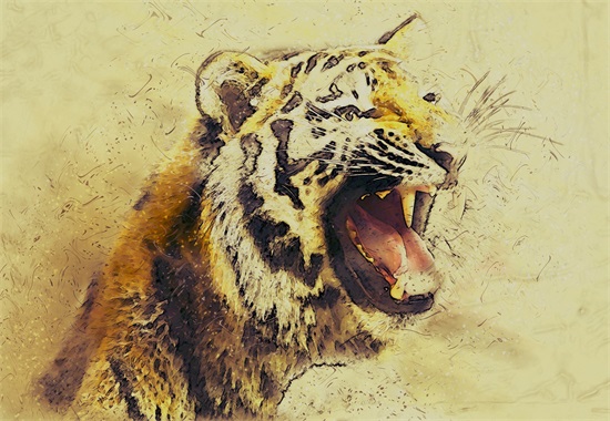 “洋洋自得”猜指打一正确生肖准确代表什么生肖,猜解哪一个最佳成语解释释义